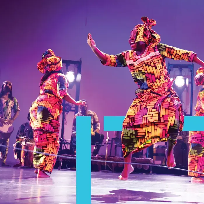 BAM DanceAfrica 2026
