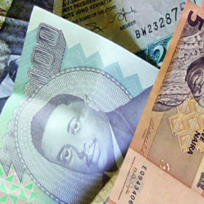 The Money Show