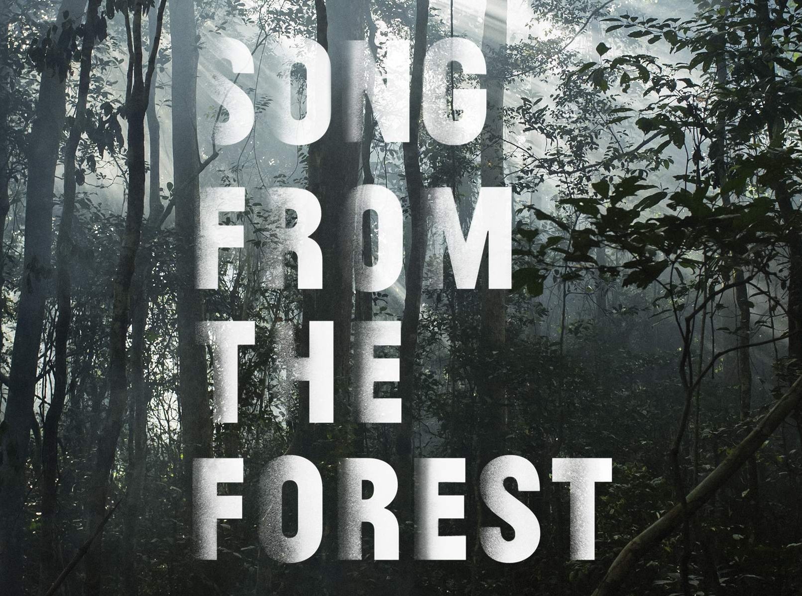 Field Report: Song From the Forest at SXSW 2014