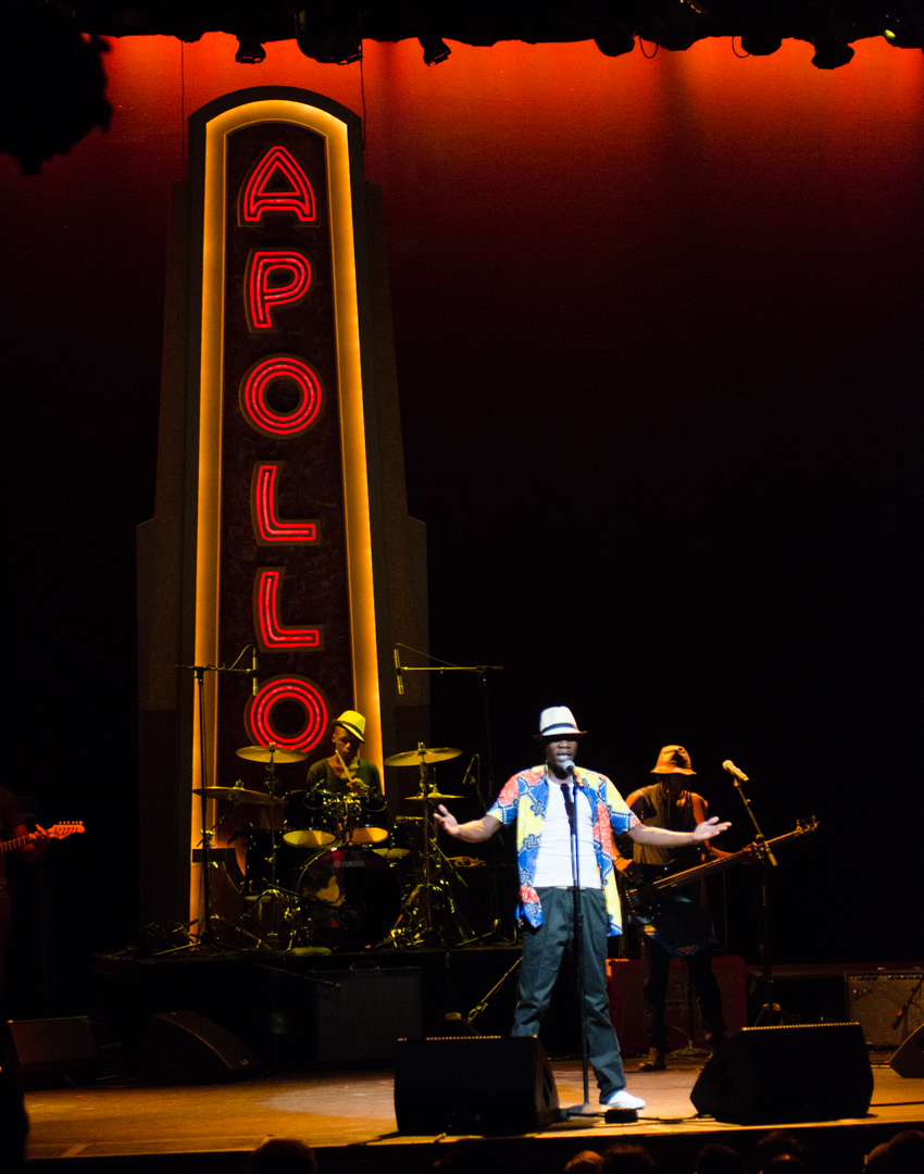 Africa Now! 2016 Rocks the Apollo Theater in Harlem: Video Feature